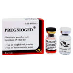 HCG / Pregnyl - Golden Dragon